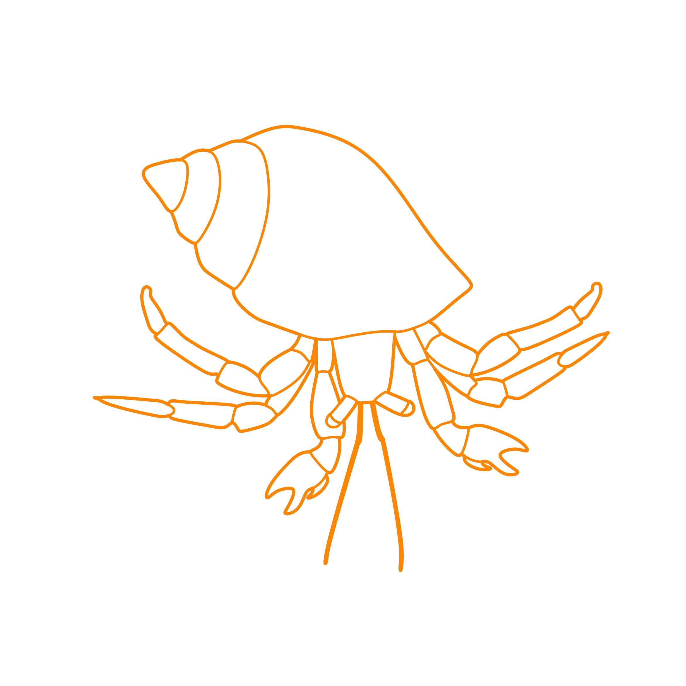 Animals Crustaceans Caribbean Hermit Crab Outline Icon Svg Set Free Vectors